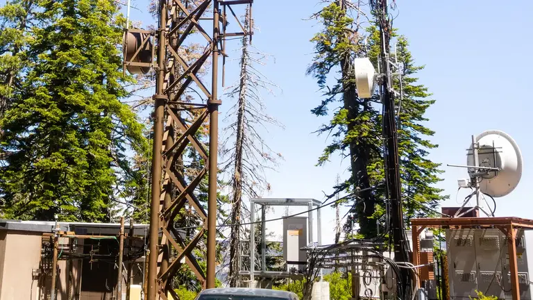 Outdoor wireless backhaul equipment with a directional microwave dish and tower-mounted radios